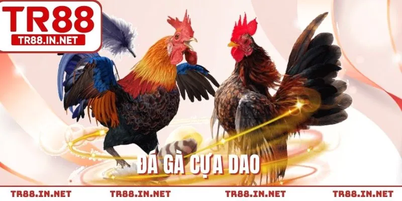 Đá Gà Cựa Dao - Bí Quyết Thắng Lớn Trong Mọi Màn Đấu Kê